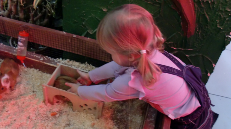 Контактный зоопарк на Тушинской (2г 5 мес)