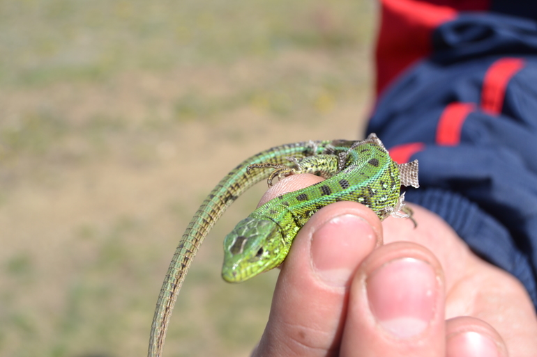 Пасха 2014. Поход