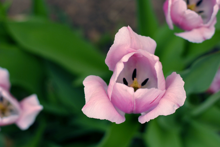 Первый шаг – самое простое и одновременно трудное…