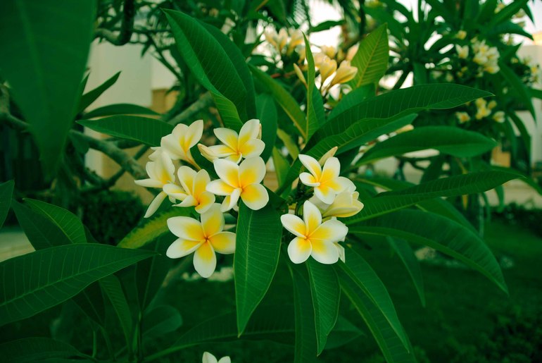 Контрольное задание № 6. Три способа цветокоррекций фотографий