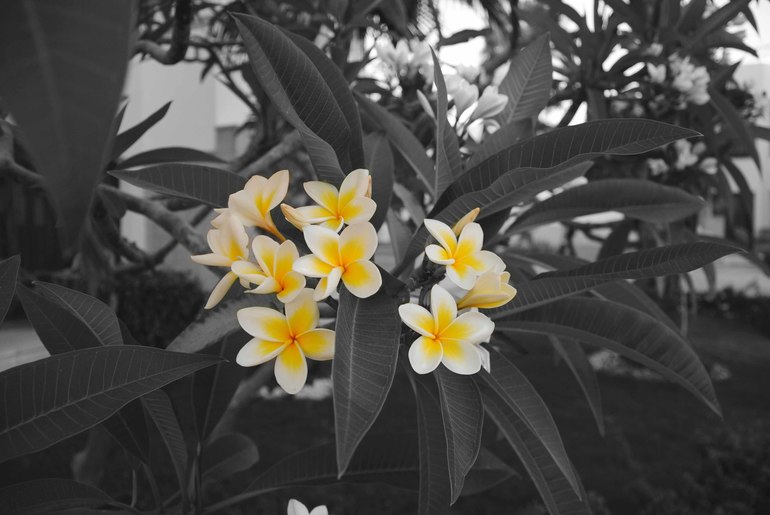 Контрольное задание № 6. Три способа цветокоррекций фотографий