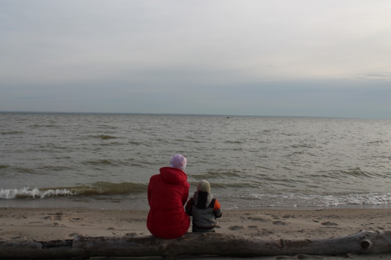 Солнечный выходной