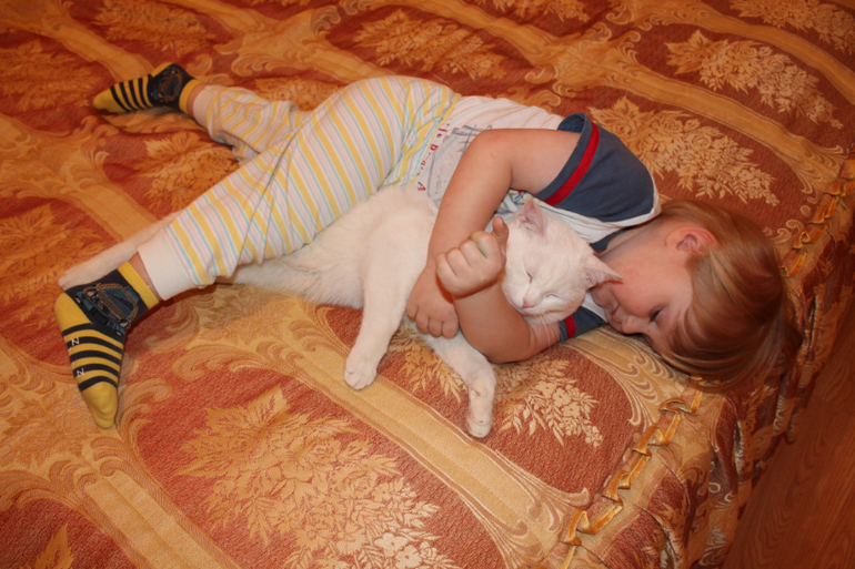 Бонифаций и Никита