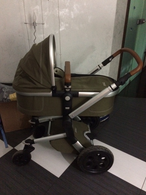 Joolz day earth edition или моя любимая черепашка