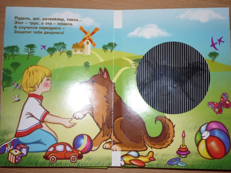 Такая книжка