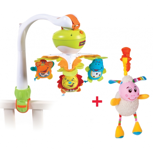 Первые большие покупочки