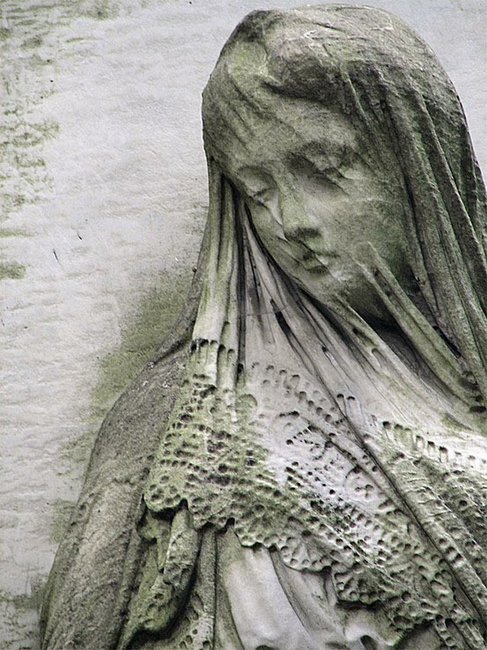 Окаменевшая вуаль и не только