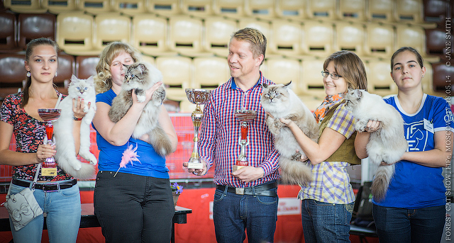 Мой мужчинка.