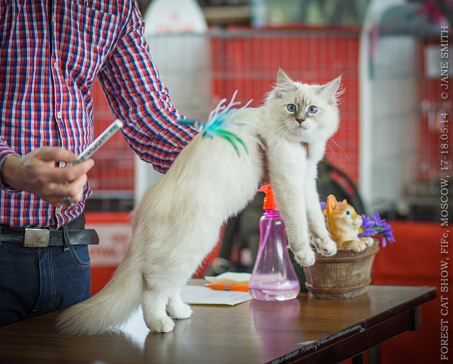 Мой мужчинка.