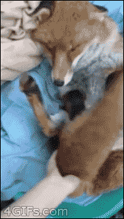 Юмор программистов, понятный каждому))))))))))))))))))))))