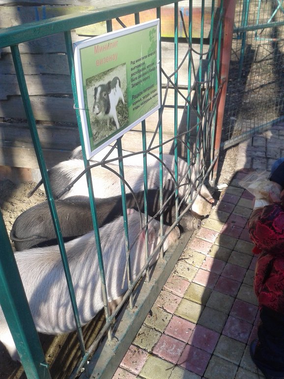 Наши выходные. Немного фото