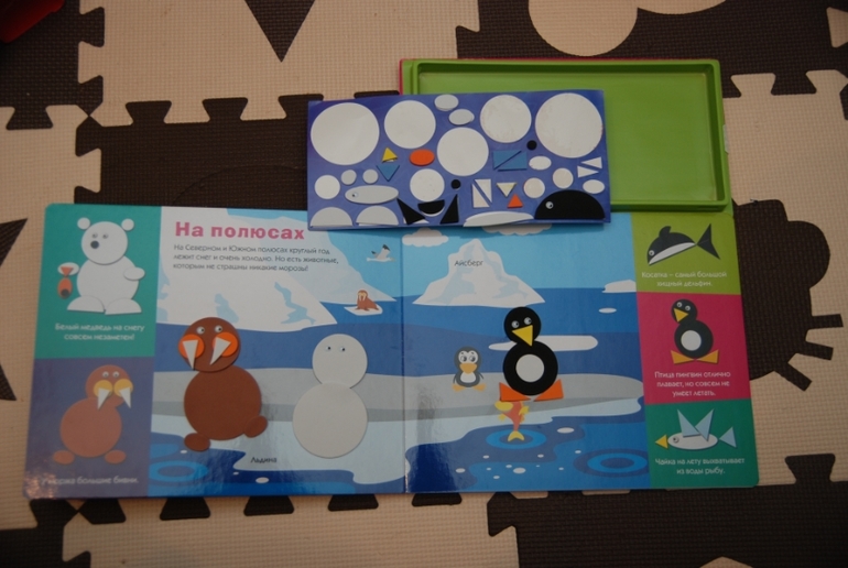 От слона до крокодила