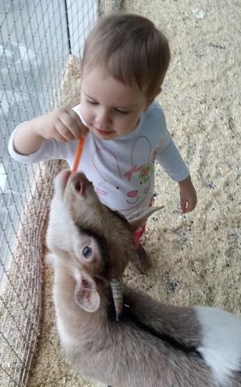 Поездка в контактный зоопарк в будний день