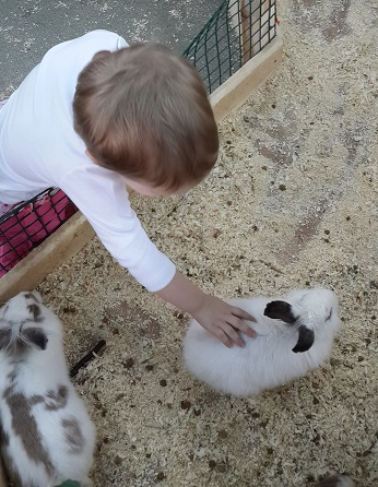 Поездка в контактный зоопарк в будний день