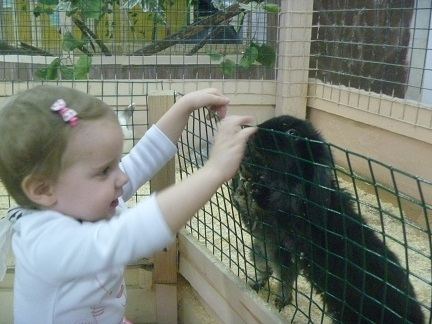 Поездка в контактный зоопарк в будний день