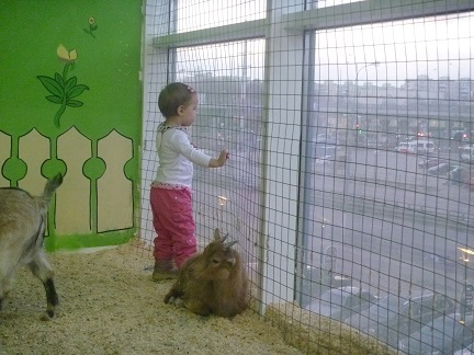 Поездка в контактный зоопарк в будний день