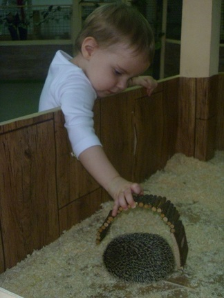 Поездка в контактный зоопарк в будний день