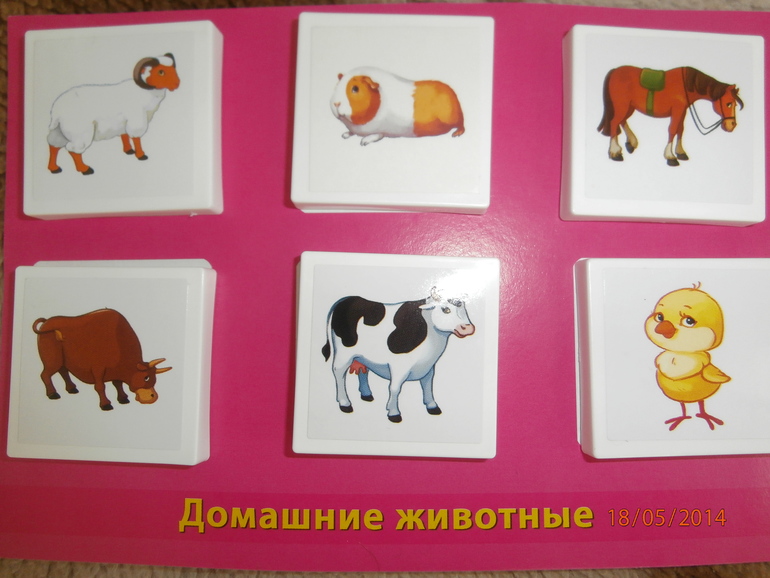 ТЗ Корова