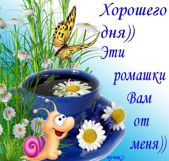 https://cdn4.imgbb.ru/user/42/425885/201502/d53a13e4974714077f65accdb2911789.jpg