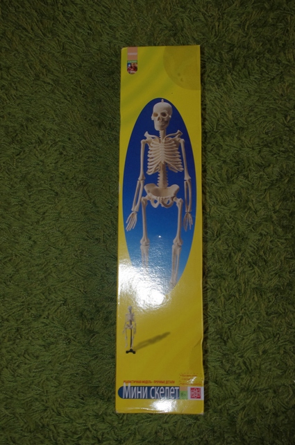 Джузеппе )))