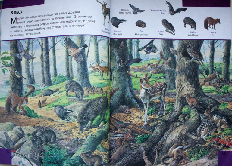 Еще одна бюджетная искалка.