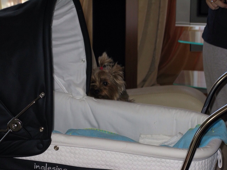 Мой колясопарк) много фото)))