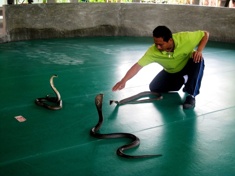 Diamond Cottage Resort & Spa 4*