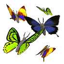 a378ca33efbc6a92b4e7453f8df5516a.gif