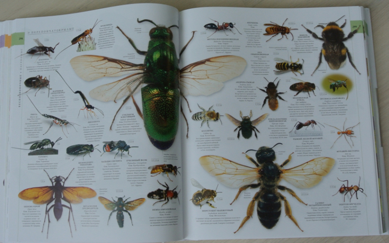 Наша библиотека - часть 31