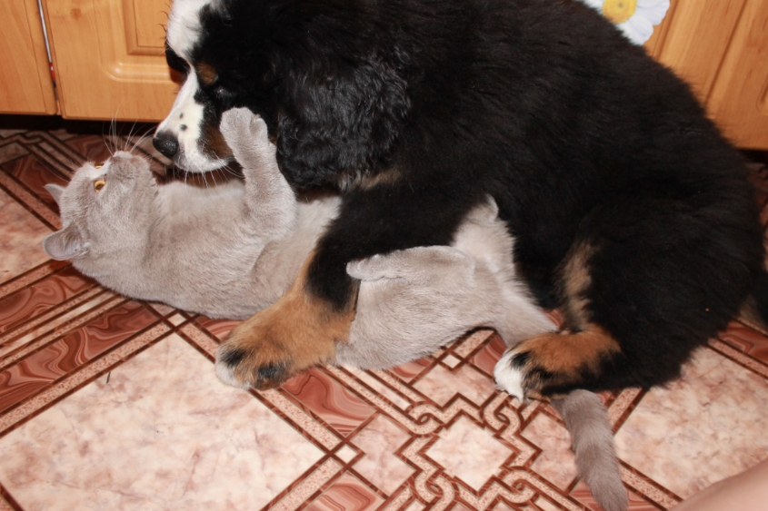 Ричард и все все все)))