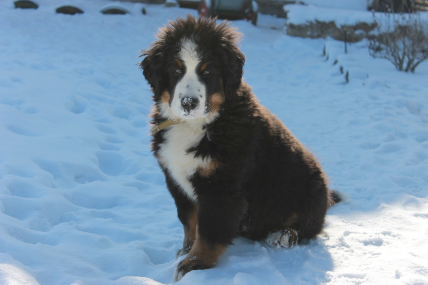 Ричард и все все все)))