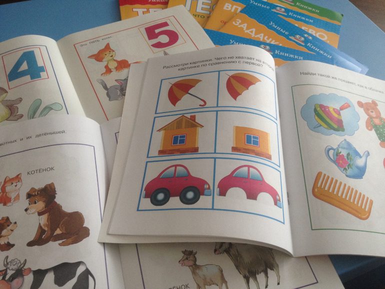 Серия «Умные книжки »