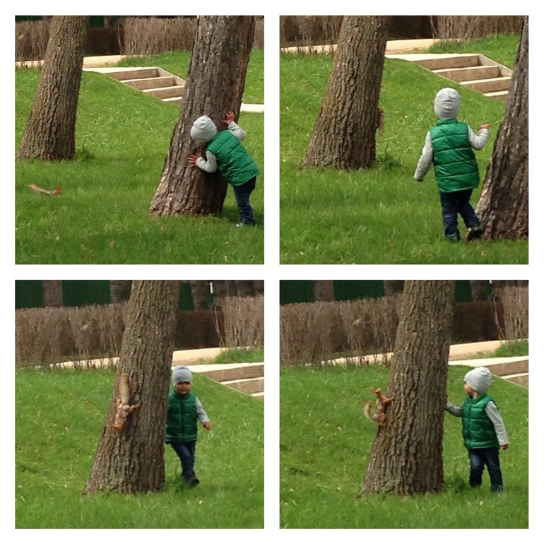 Как Артем сегодня с белкой в догонялки играл))