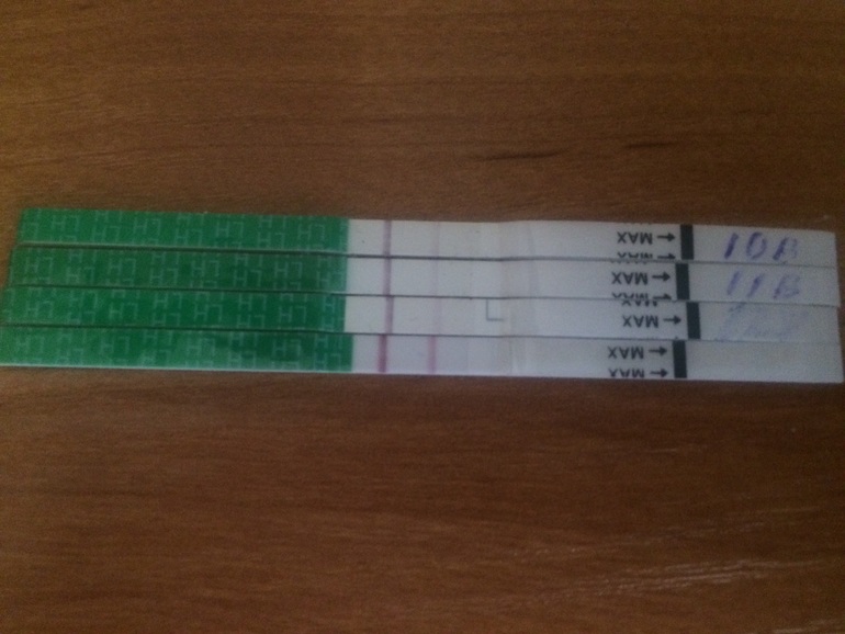 12 д ц. Frautest на овуляцию динамика. 12 д ц. 12 д ц. 12 д ц.