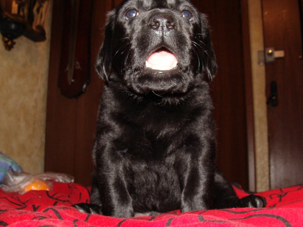 решила вспомнить))