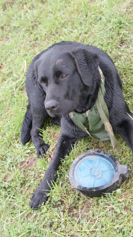 решила вспомнить))