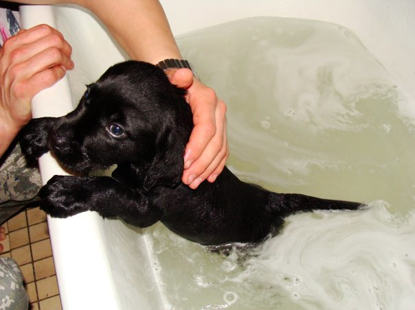 решила вспомнить))