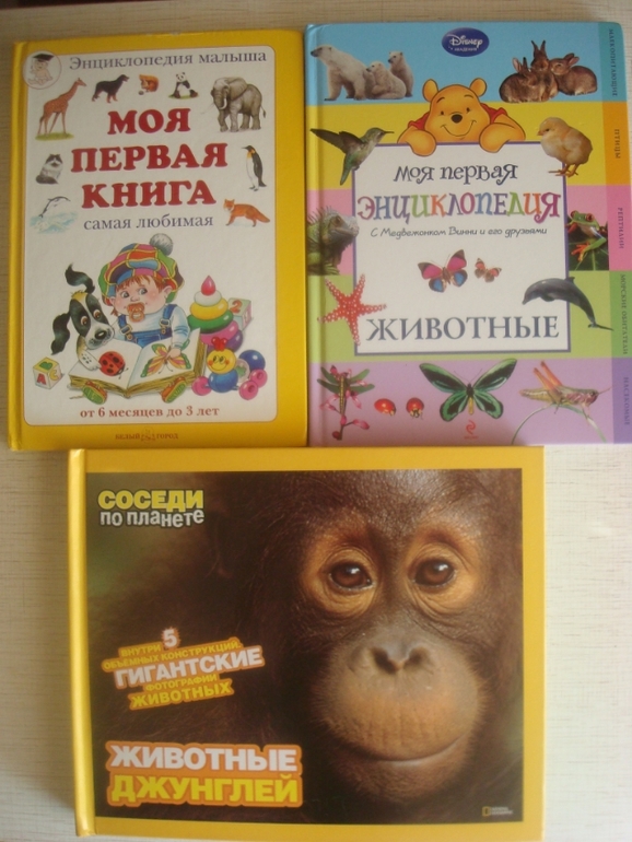 Дневник читателя. Май. Марии 2,4.