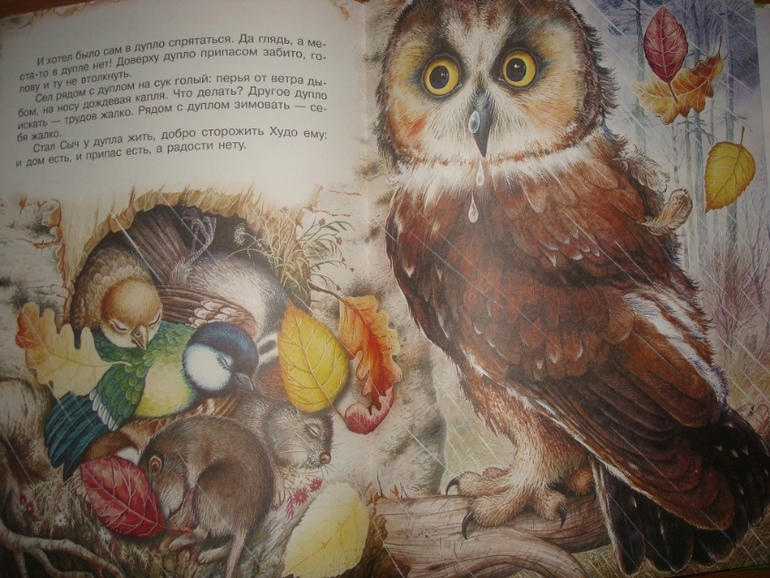 Большой книжный май. Часть 2-я.