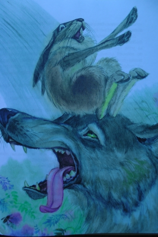 А у нас опять книжное пополнение...