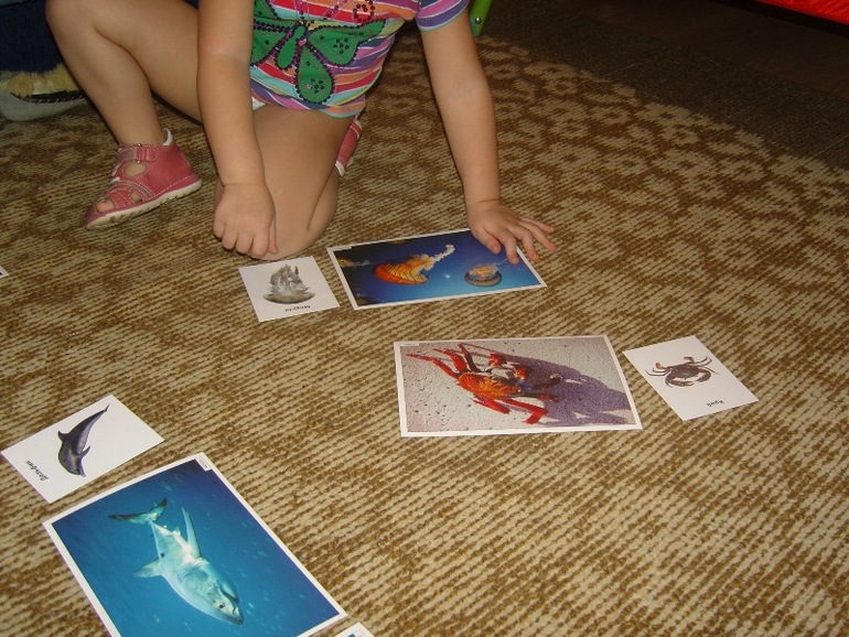 ТН Море. День 2