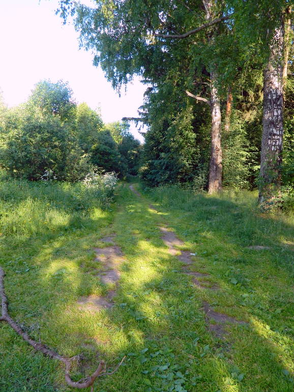 Первый "поход" всей семьей