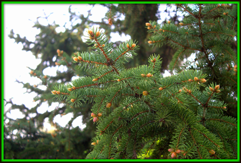 День Победы в моем Волгограде!!! С праздником ВСЕХ!!!!