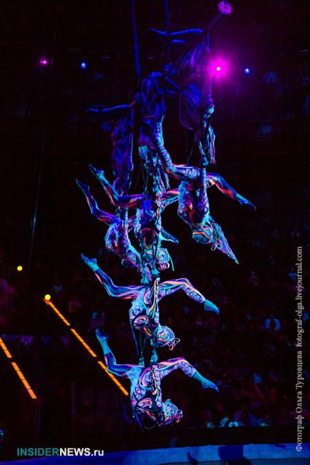 2d335734bfa39a84eb8c521477109b66.jpg