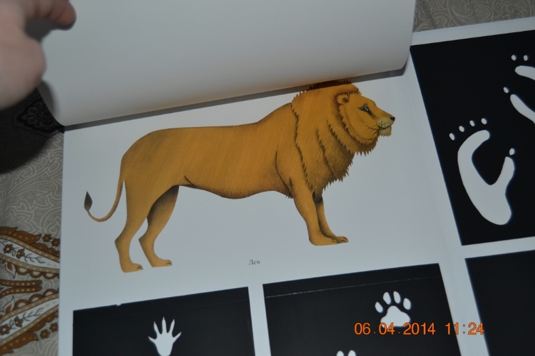 Наше апрельское пополнение