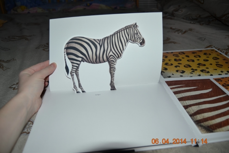 Наше апрельское пополнение