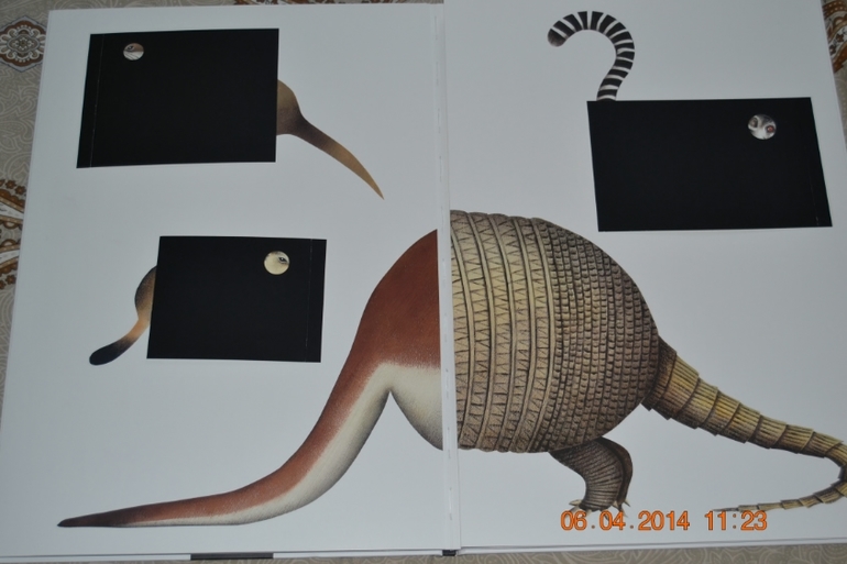 Наше апрельское пополнение