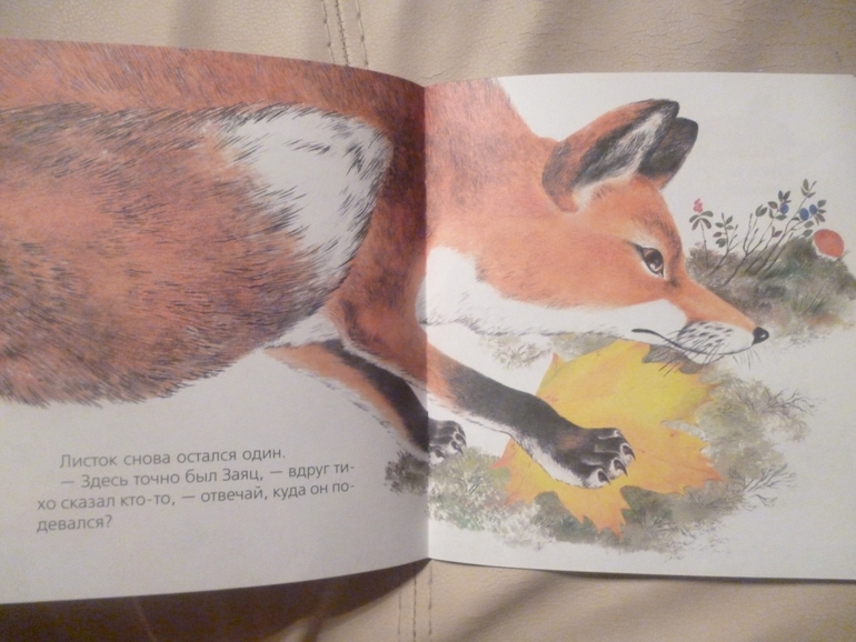 Чарушинские зверята (подробные фото и отзыв)