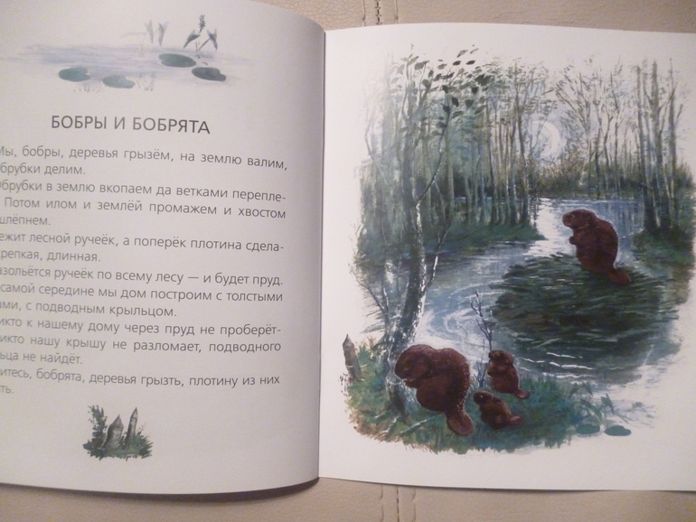 Чарушинские зверята (подробные фото и отзыв)