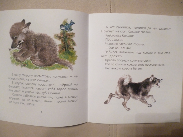 Чарушинские зверята (подробные фото и отзыв)